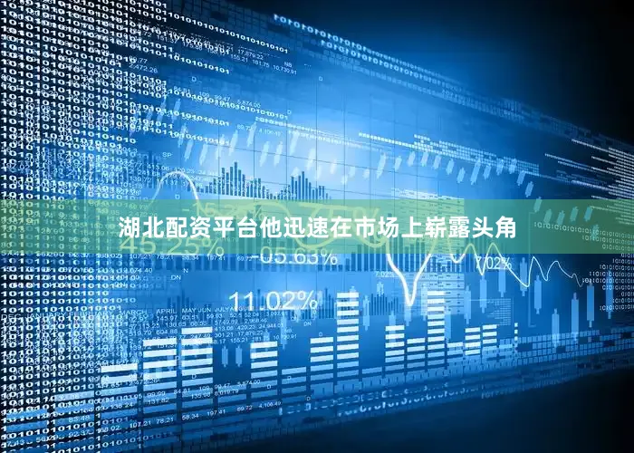 湖北配资平台他迅速在市场上崭露头角