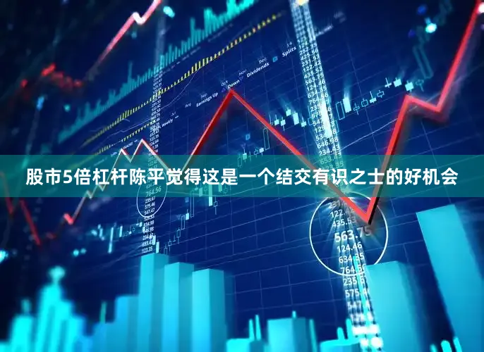 股市5倍杠杆陈平觉得这是一个结交有识之士的好机会